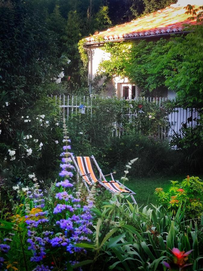 Bed and Breakfast La Prévôté Moissac Exterior foto